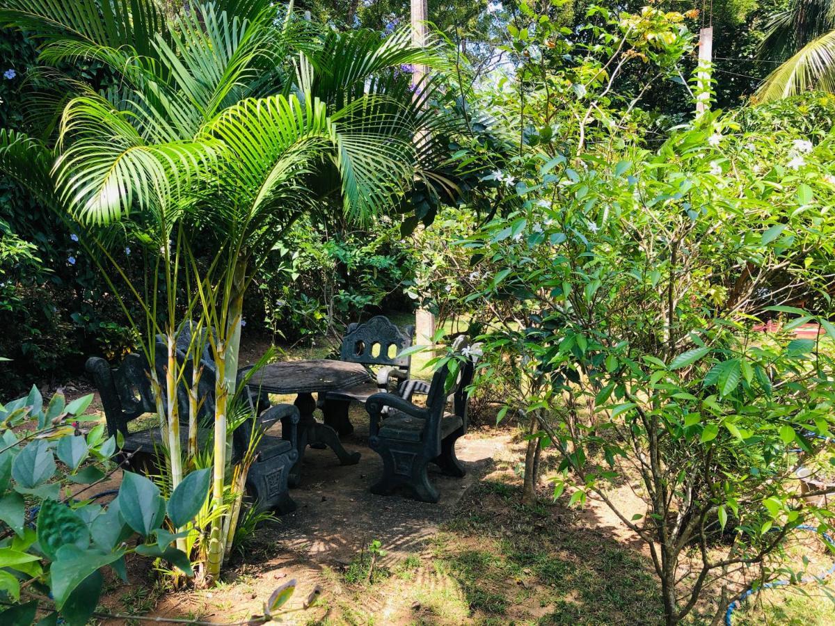 Sigiriya Nature Villa Lodge Bagian luar foto