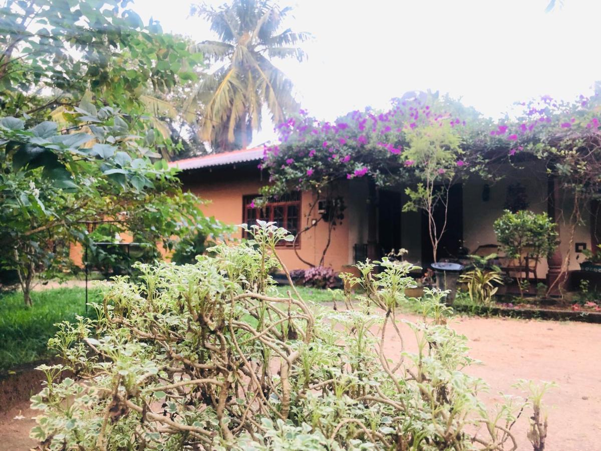 Sigiriya Nature Villa Lodge Bagian luar foto