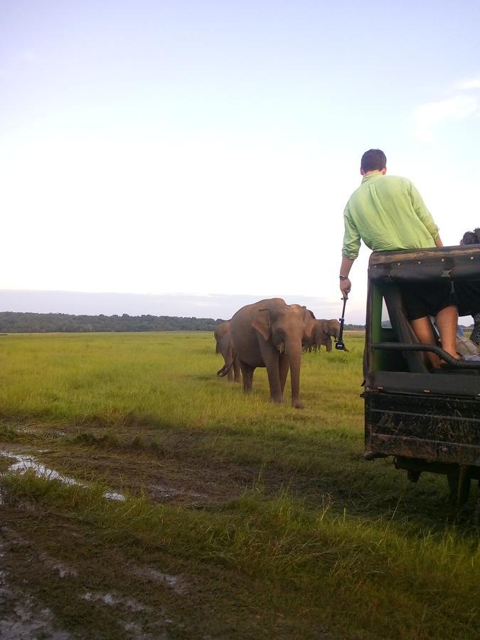 Sigiriya Nature Villa Lodge Bagian luar foto