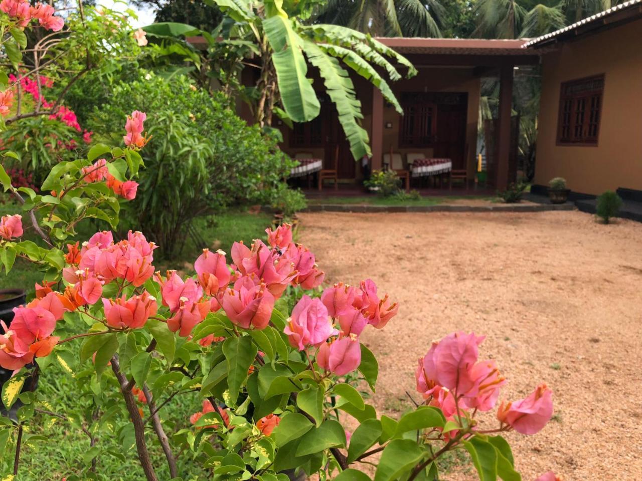 Sigiriya Nature Villa Lodge Bagian luar foto
