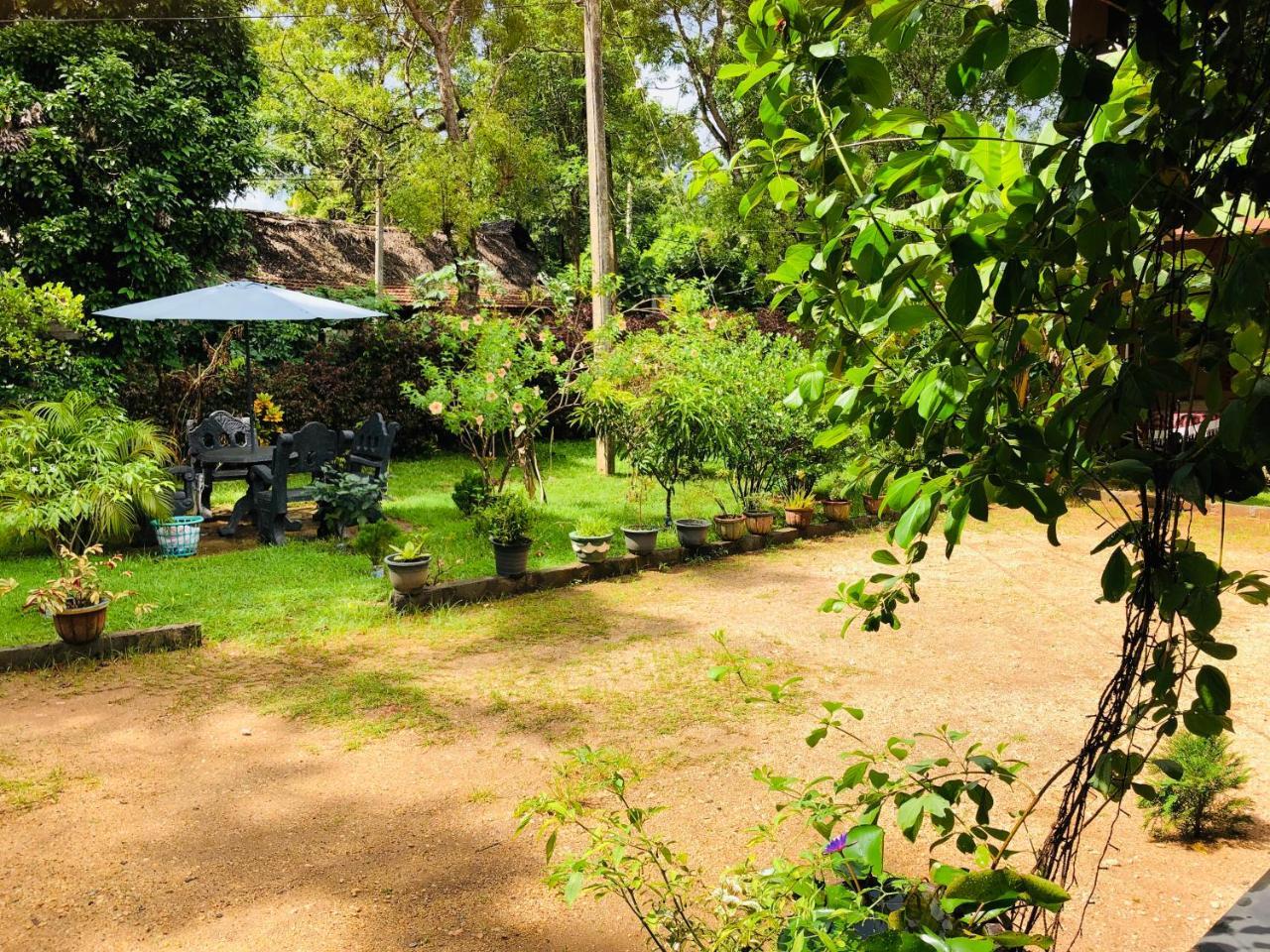 Sigiriya Nature Villa Lodge Bagian luar foto