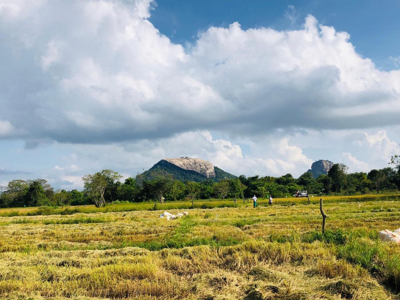 Sigiriya Nature Villa Lodge Bagian luar foto