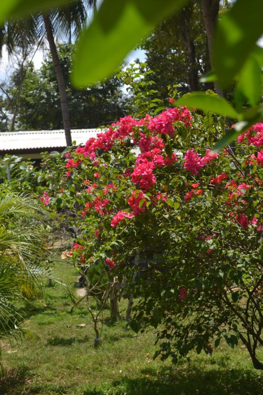 Sigiriya Nature Villa Lodge Bagian luar foto